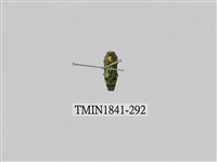 藏品(菲律賓產昆蟲)的圖片